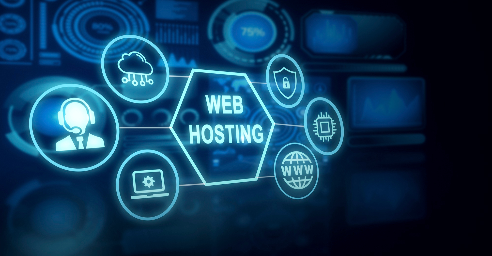 Website Design & Hosting illustration