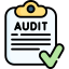 Audit Icon